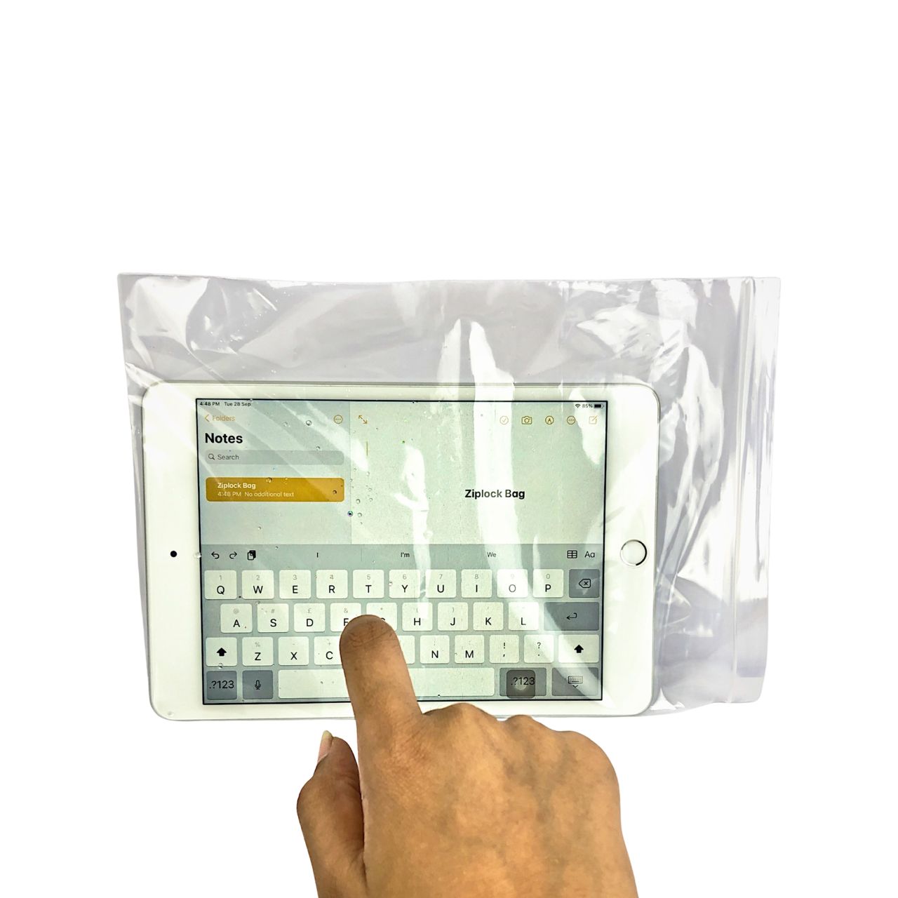 LDPE Ziplock Bag (ZB)