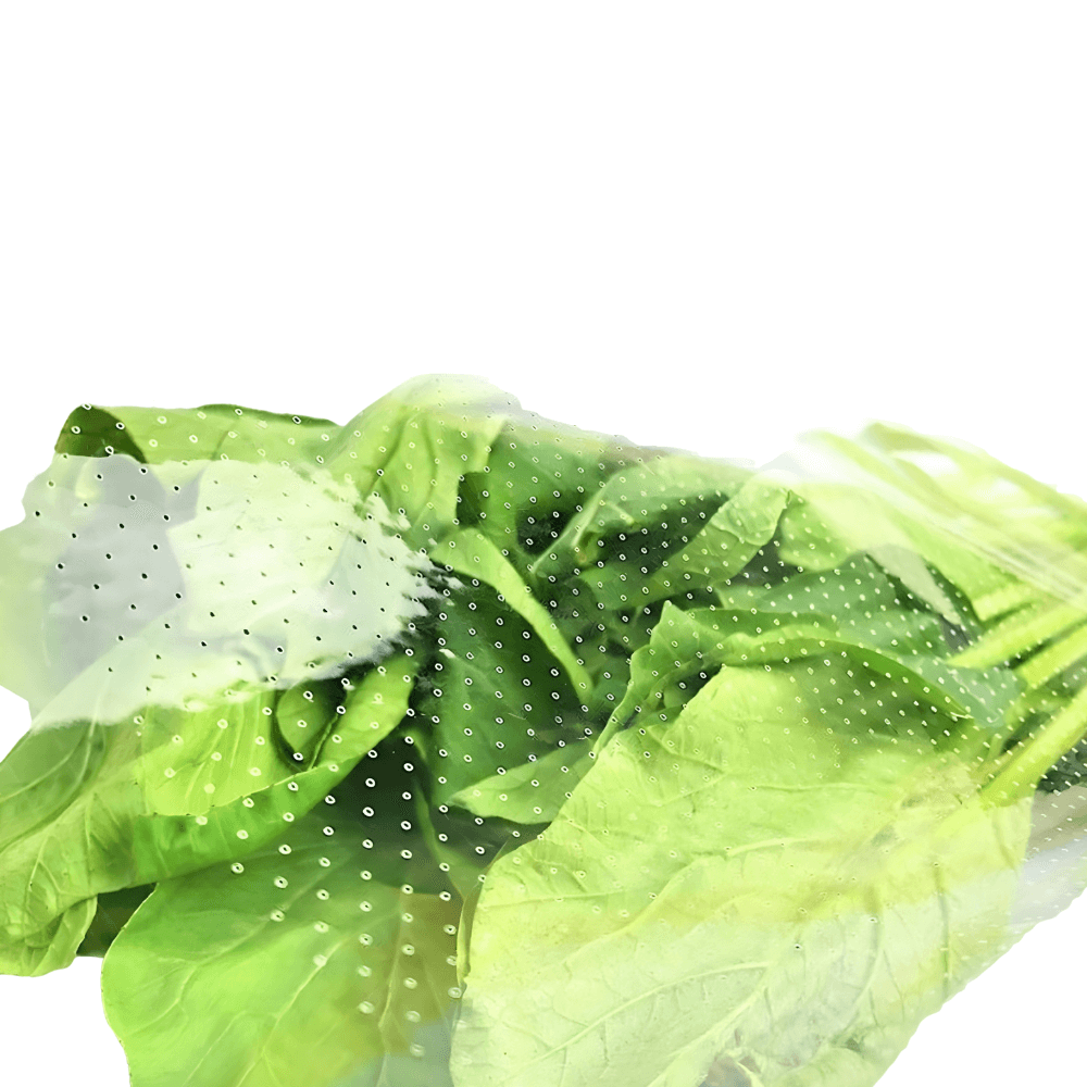 Vegetable Bag (VG) supplier